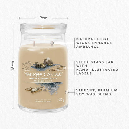 Amber & Sandalwood Signature Large Jar