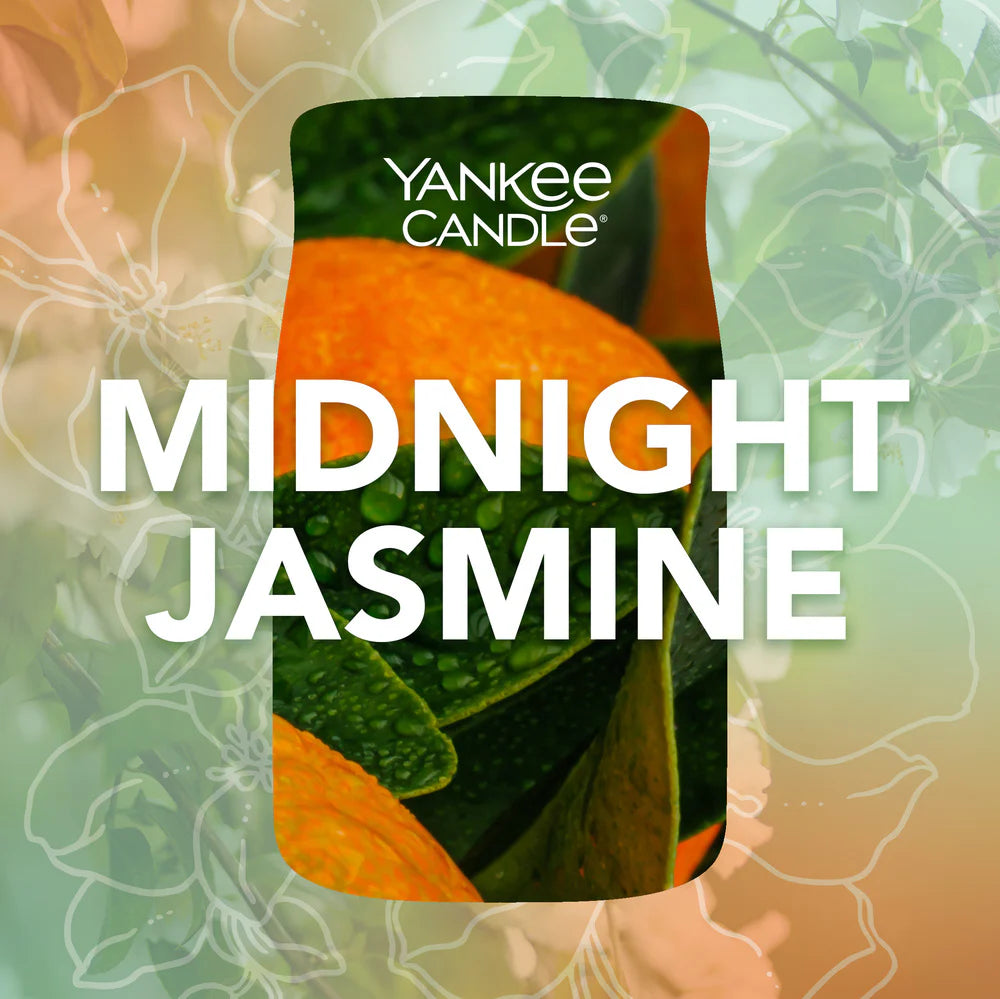 Midnight Jasmine Signature Large Jar