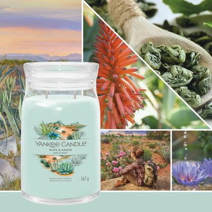 Aloe & Agave Signature Large Jar