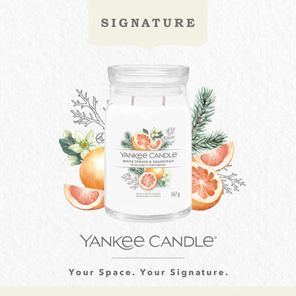 White Spruce & Grapefruit Signature Large Jar