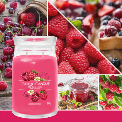 Red Raspberry Signature Large Jar