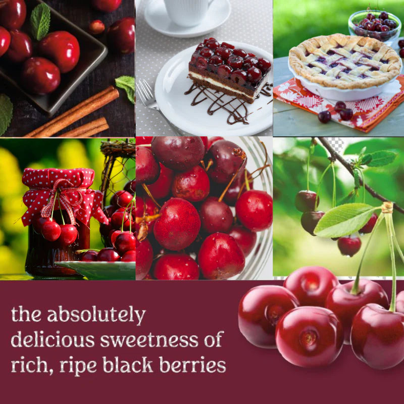 Black Cherry Signature Large Tumbler